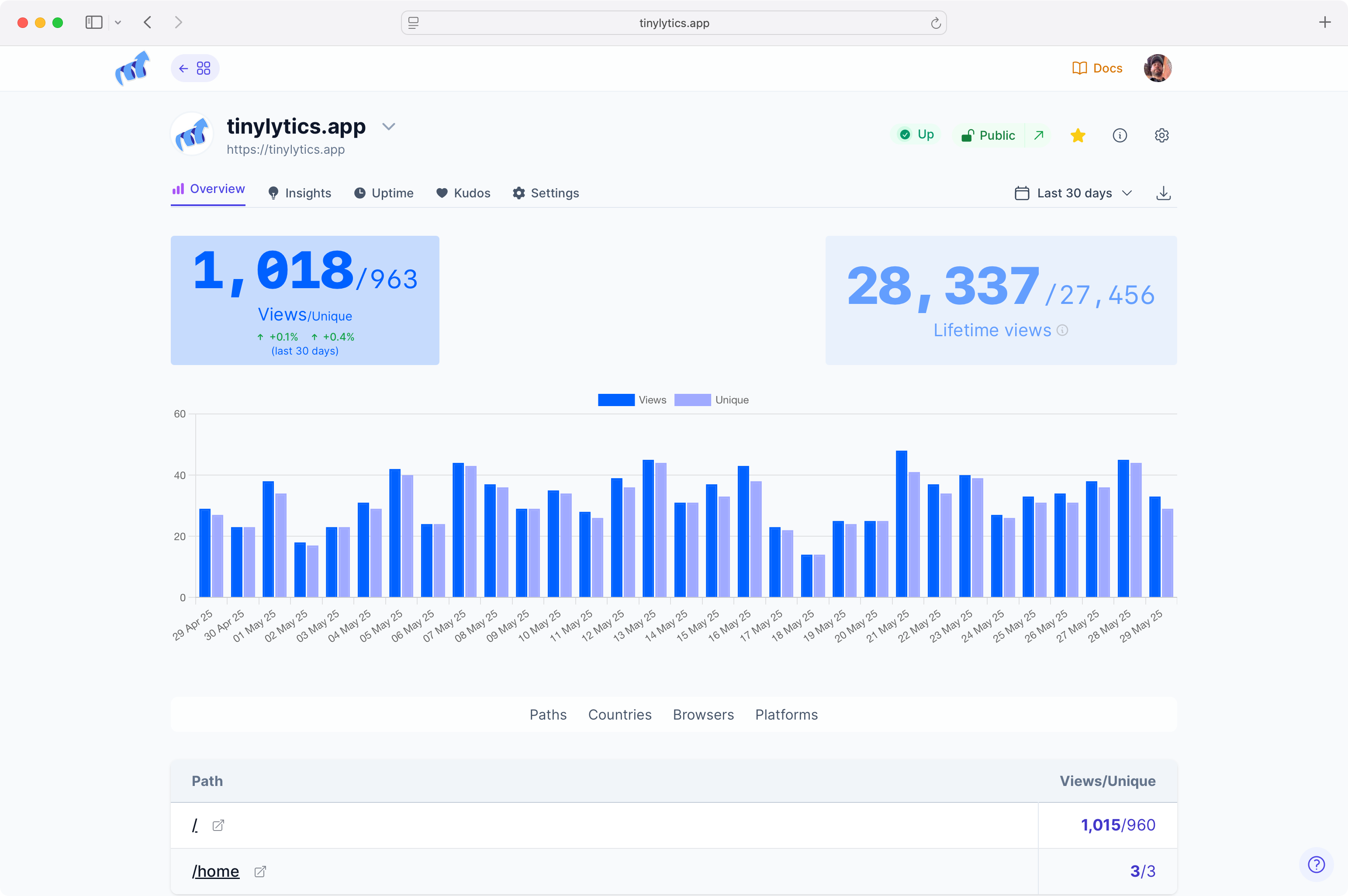 Tinylytics analytics dashboard showing visitor statistics and insights